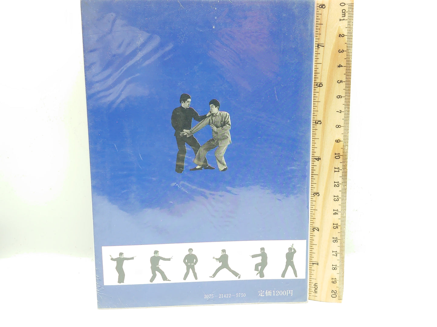 201 中国拳法 形意拳入門 / 松田隆智 / 日東書院