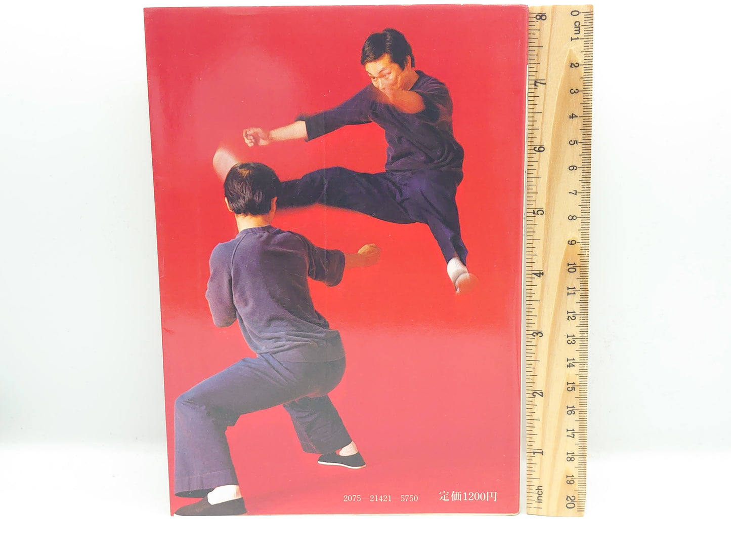 201 中国拳法 少林拳入門 / 笠尾恭二 / 日東書院