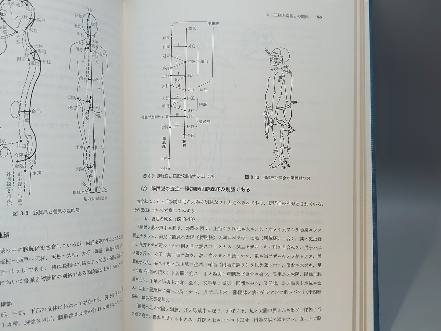 221 正奇経統合理論とその臨床