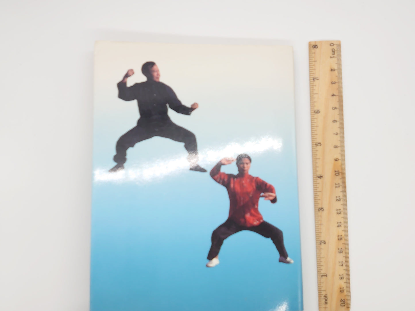 201 陳氏太極拳 理論と実技 / 余鳳翔 / ベースボールマガジン社