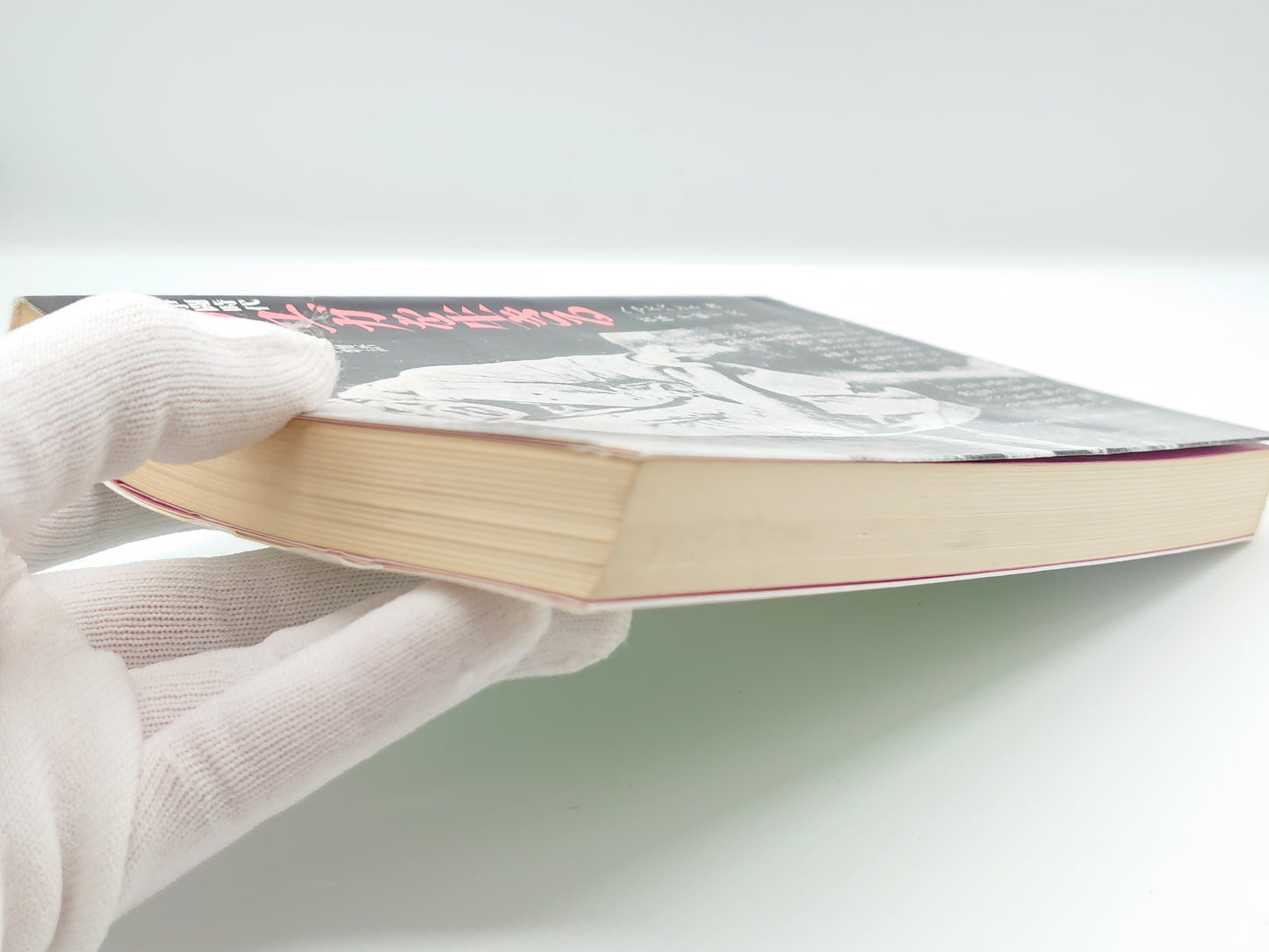 225 争闘時代 カリユガを生きる/ヘマドパント/サティヤ サイ オーガニゼーション ジャパン