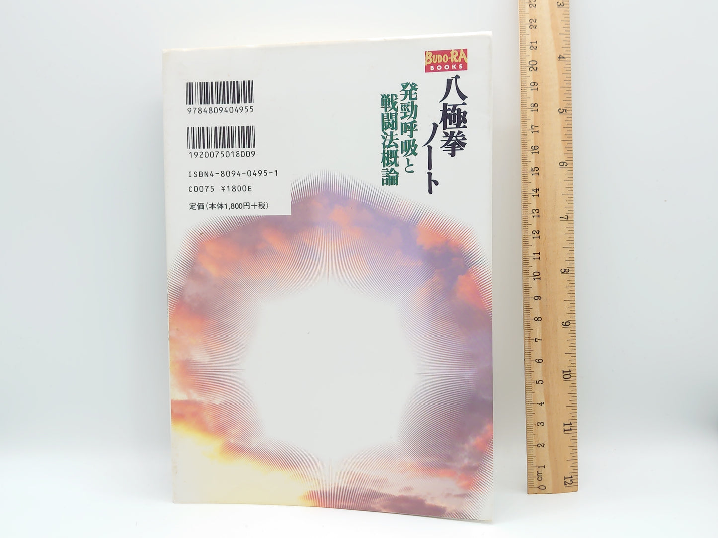 201 八極拳ノ-ト 発勁呼吸と戦闘法概論/山田 英司/東邦出版