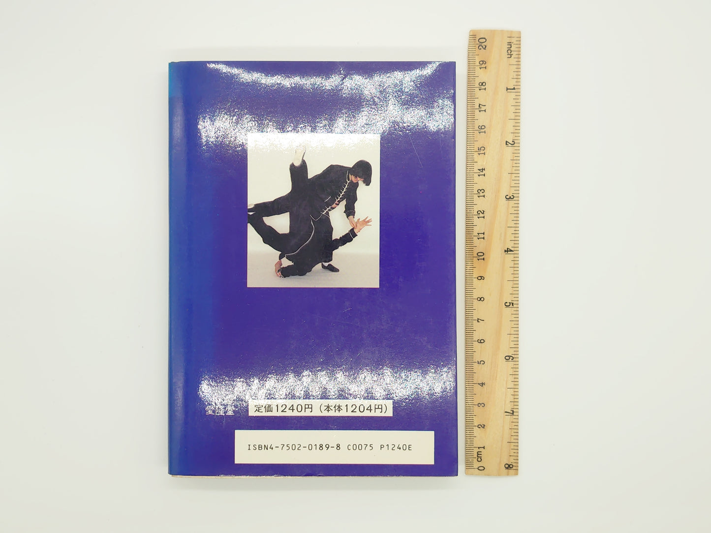 201『拳法精髄 ハイレベルテクニックを学ぶ』 竜飛雲/ 愛隆堂