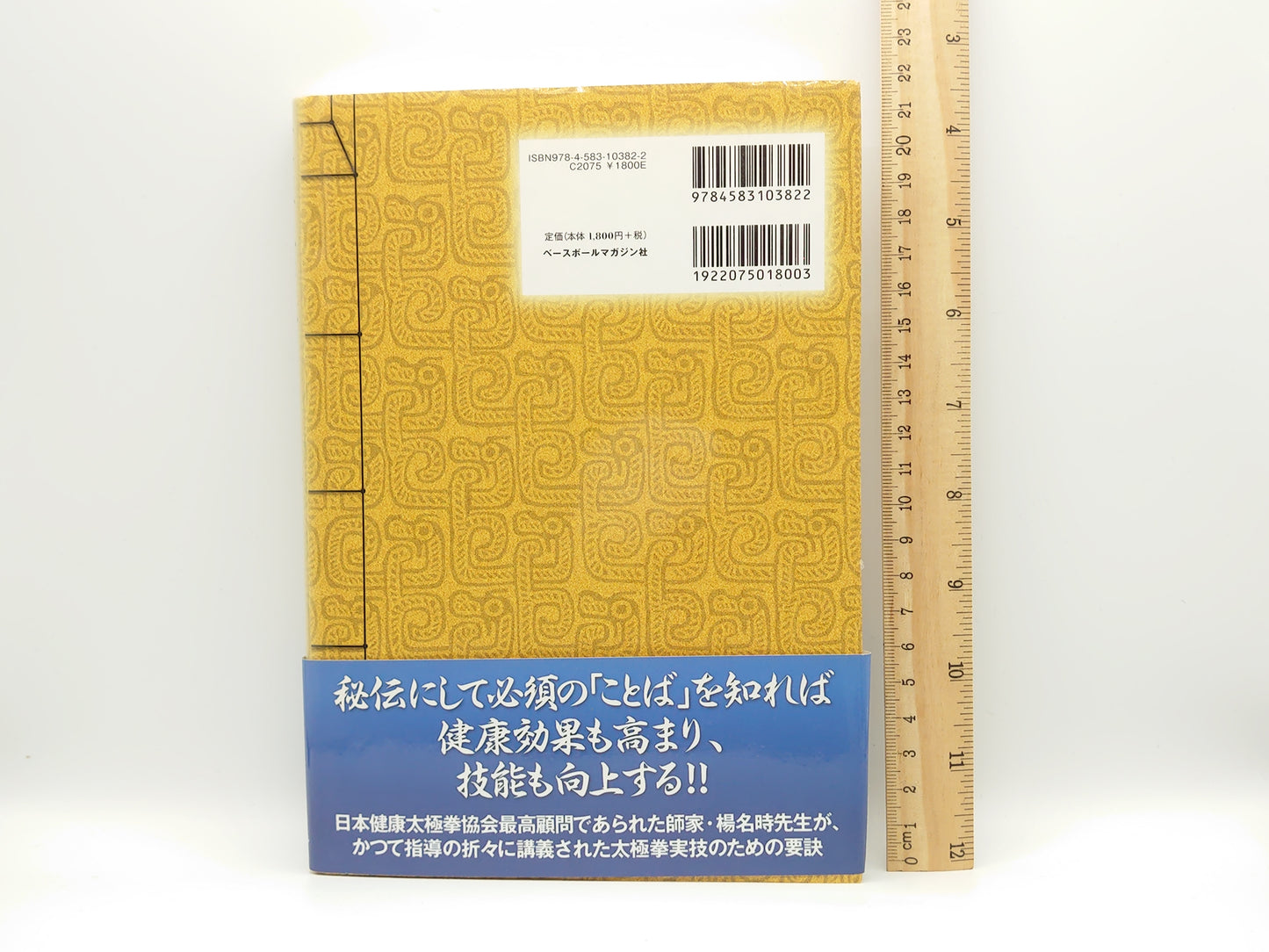 215 健康太極拳稽古要諦 楊名時太極拳の秘必用法と太極拳 古典文献/楊進 橋逸郎/ベースボール・マガジン社