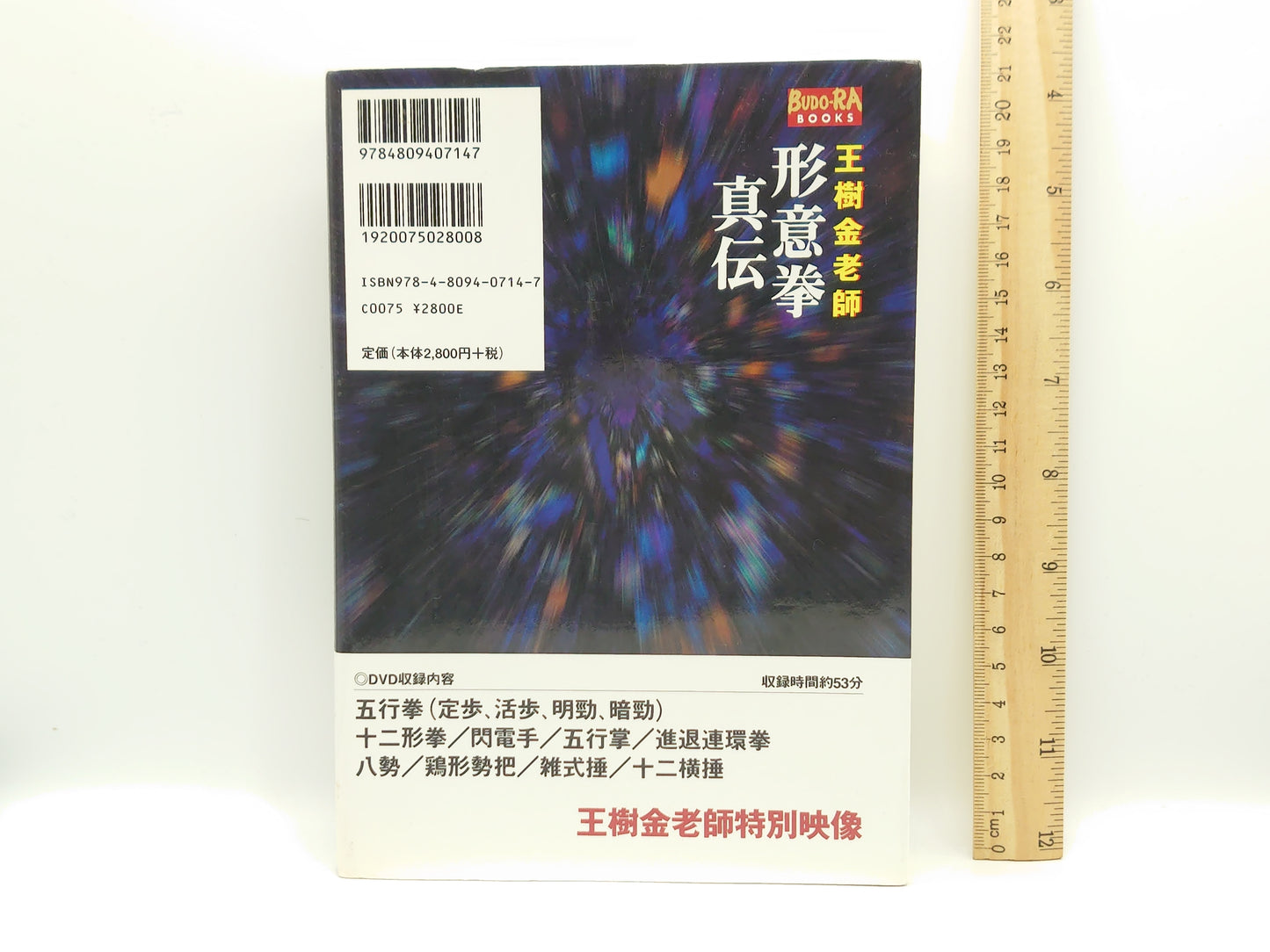 201 王樹金老師形意拳真伝/河野義勝/東邦出版
