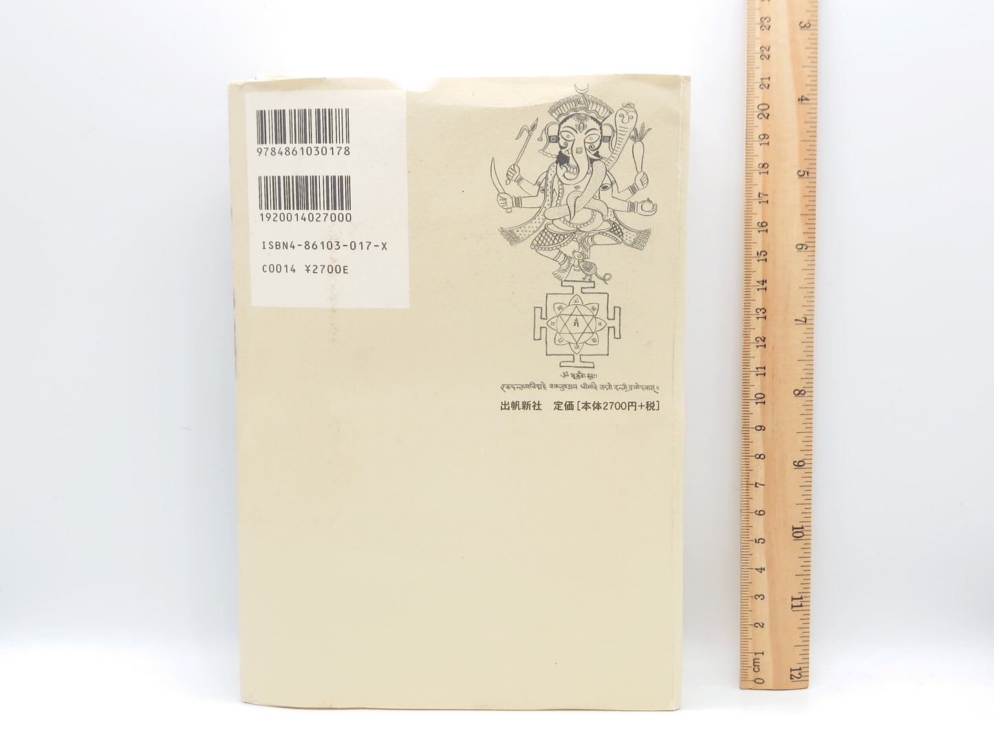 201 ヴェ-ルを脱いだインド武術: 甦る根本経典『ダヌルヴェ-ダ』/伊藤 武/出帆新社