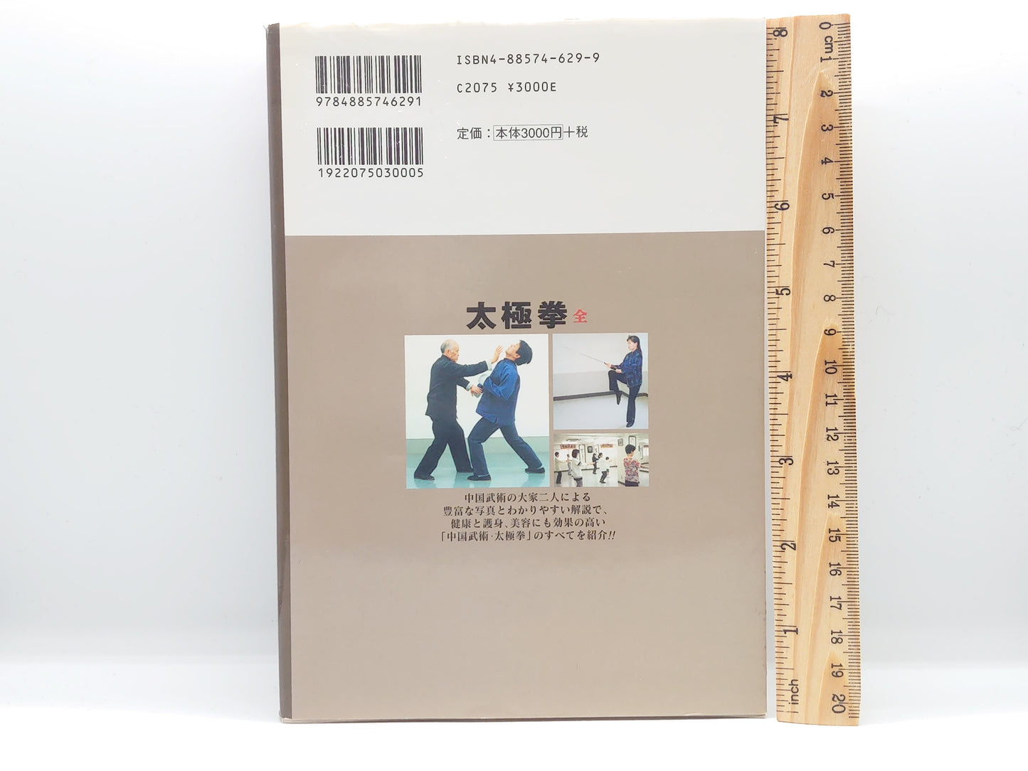 201 図解 太極拳 全 /王福来・ 地曳秀峰 / 東京書店