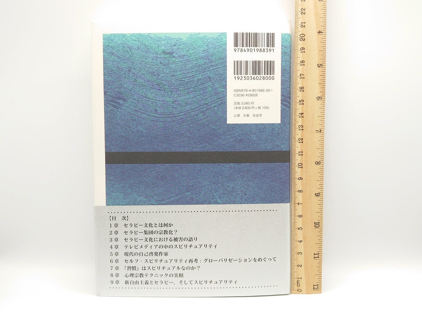 215 心理療法が宗教になるとき セラピーとスピリチュアリティをめぐる社会学/小池靖/立教大学出版会