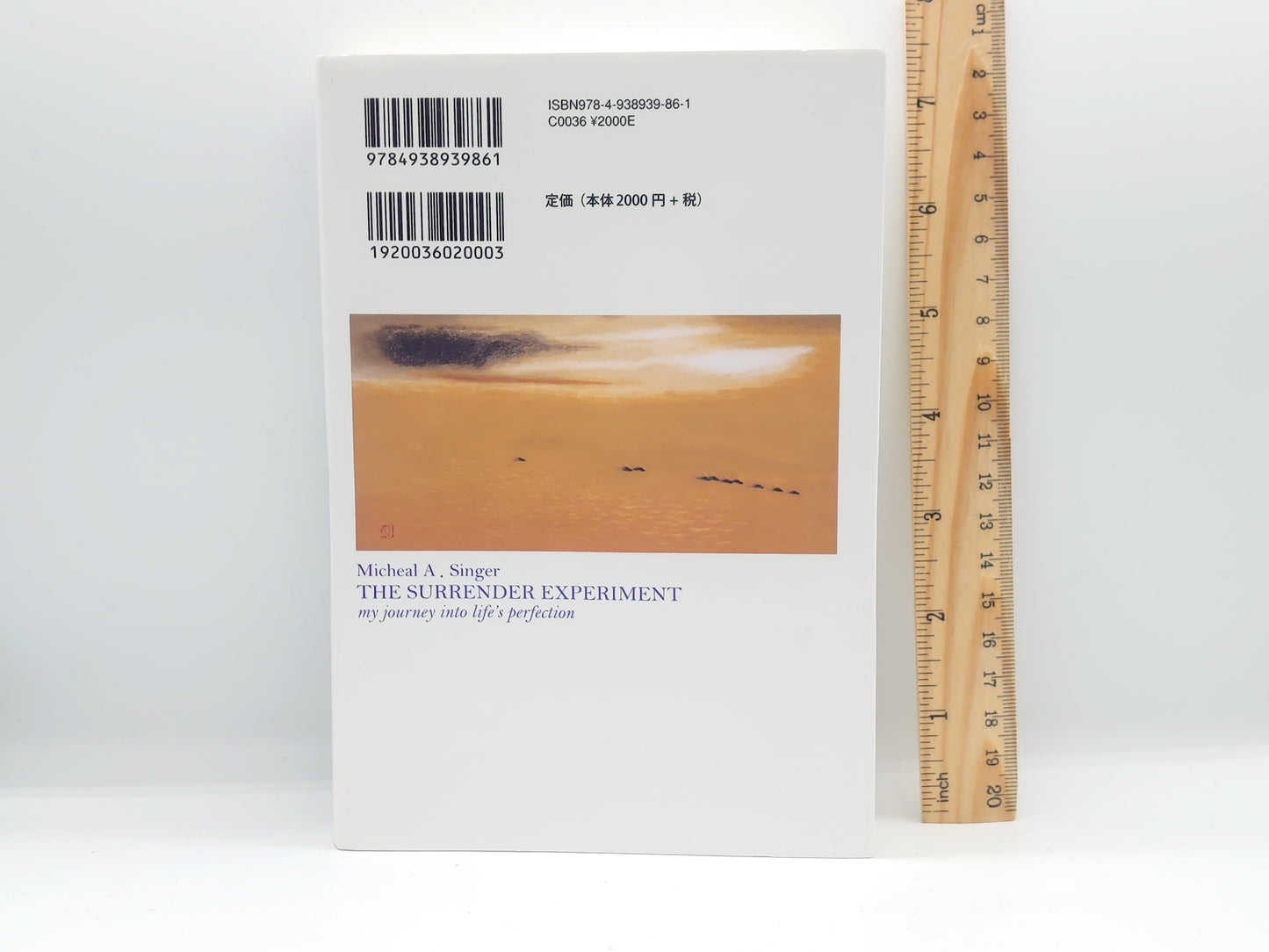 216 サレンダー/ マイケル・A・シンガー / 風雲舎