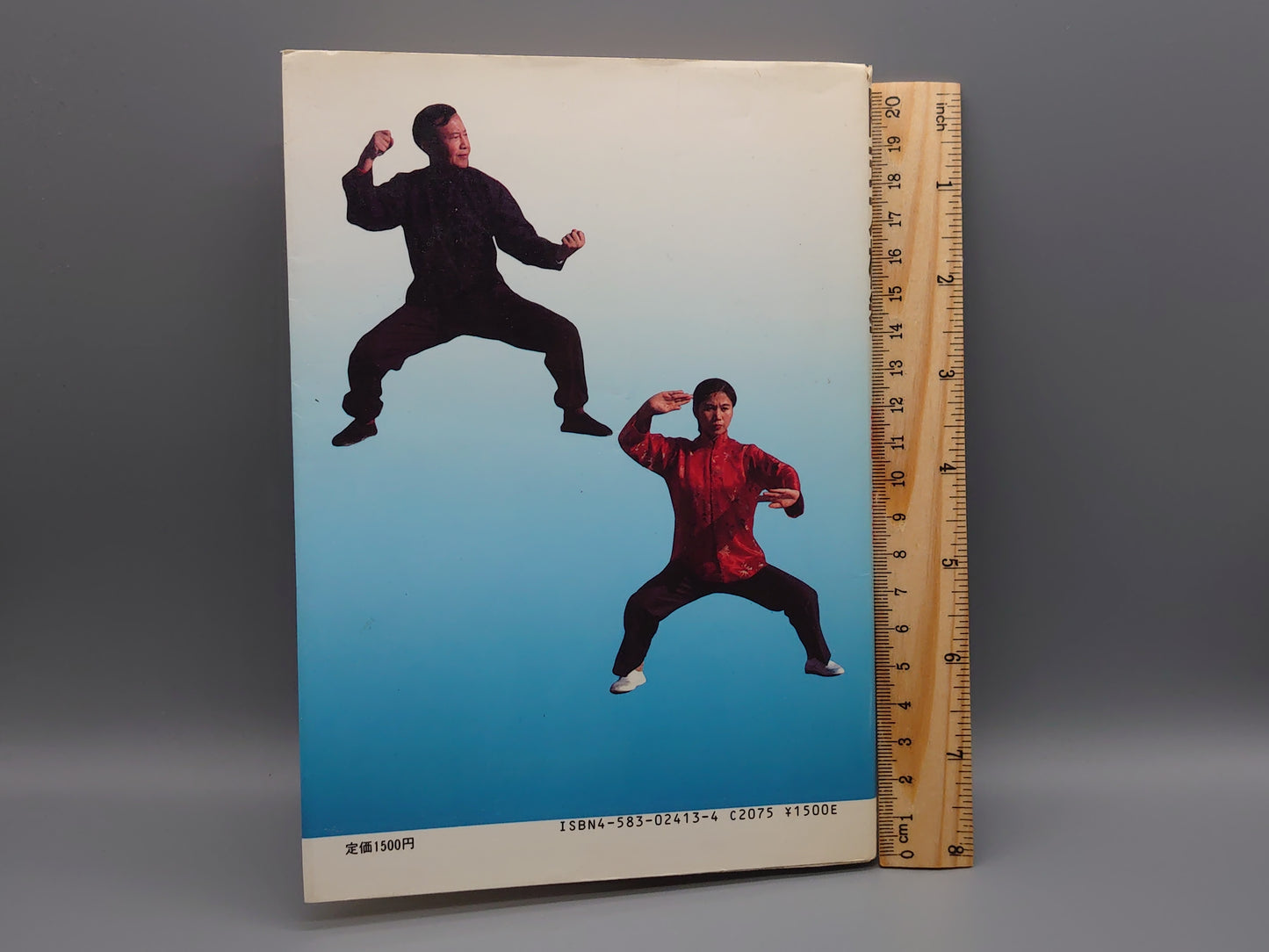 202 陳氏太極拳 理論と実技/余鳳翔/ベースボール・マガジン社