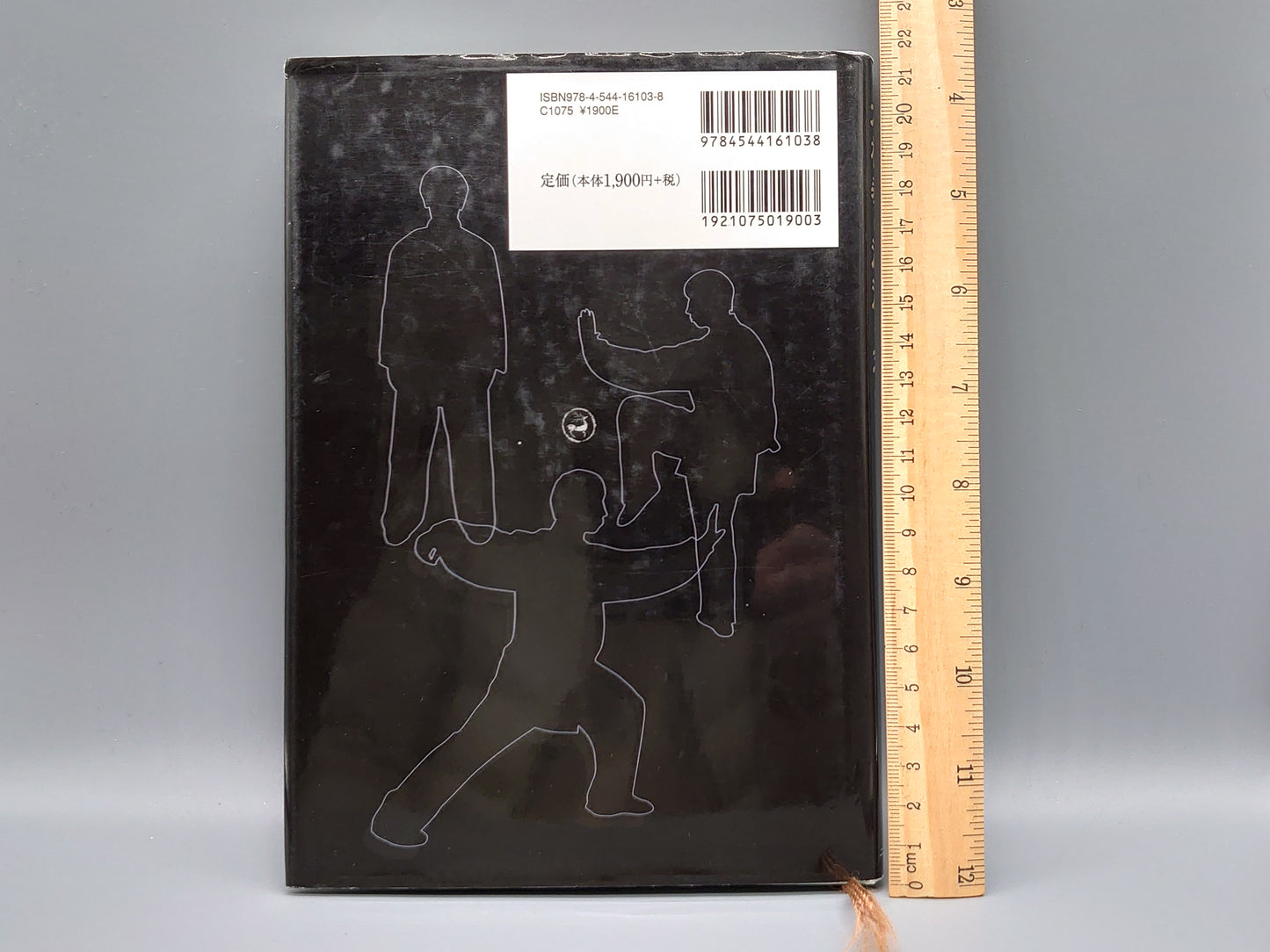 202 太極拳の源流を求めて 十三勢套路の発見/陳崢/二玄社