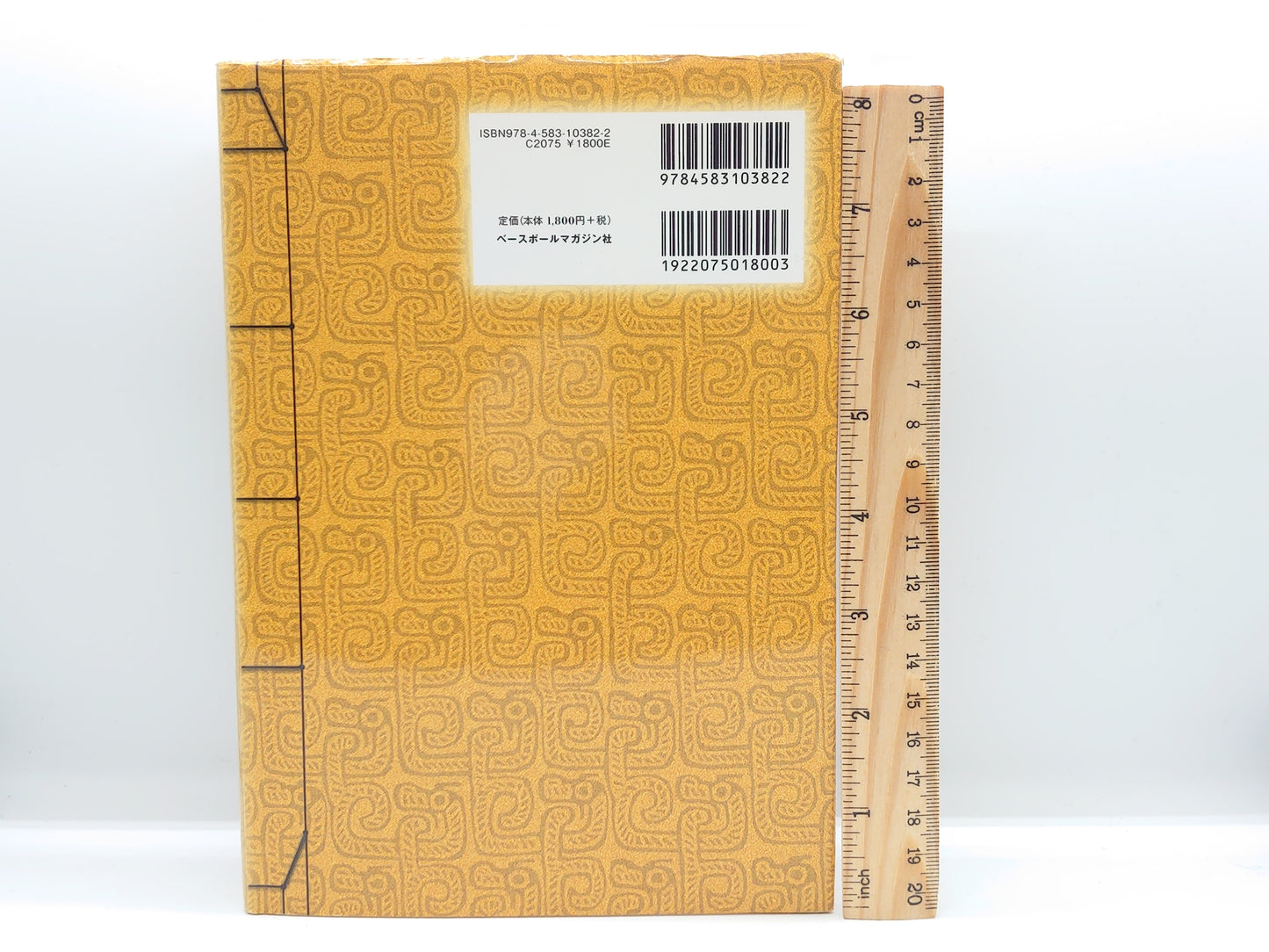 201 健康太極拳稽古要諦 / 楊進・橋逸郎 編著 / ベースボール・マガジン社