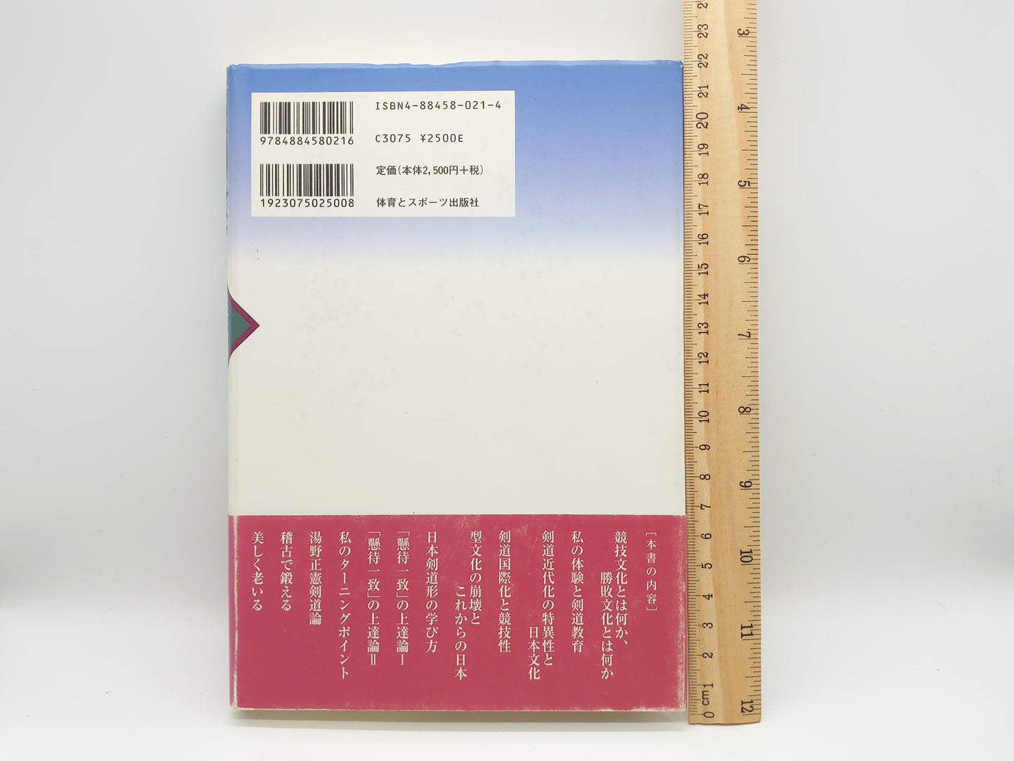 201 快剣撥雲 豊稜の剣道/作道正夫/体育とスポーツ出版社