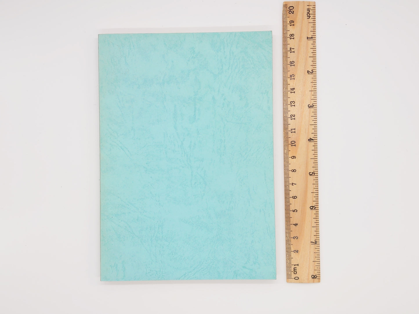 225 夢のサイ体験/N.B.S. ラーマ ラオ/日本サイババ研究会