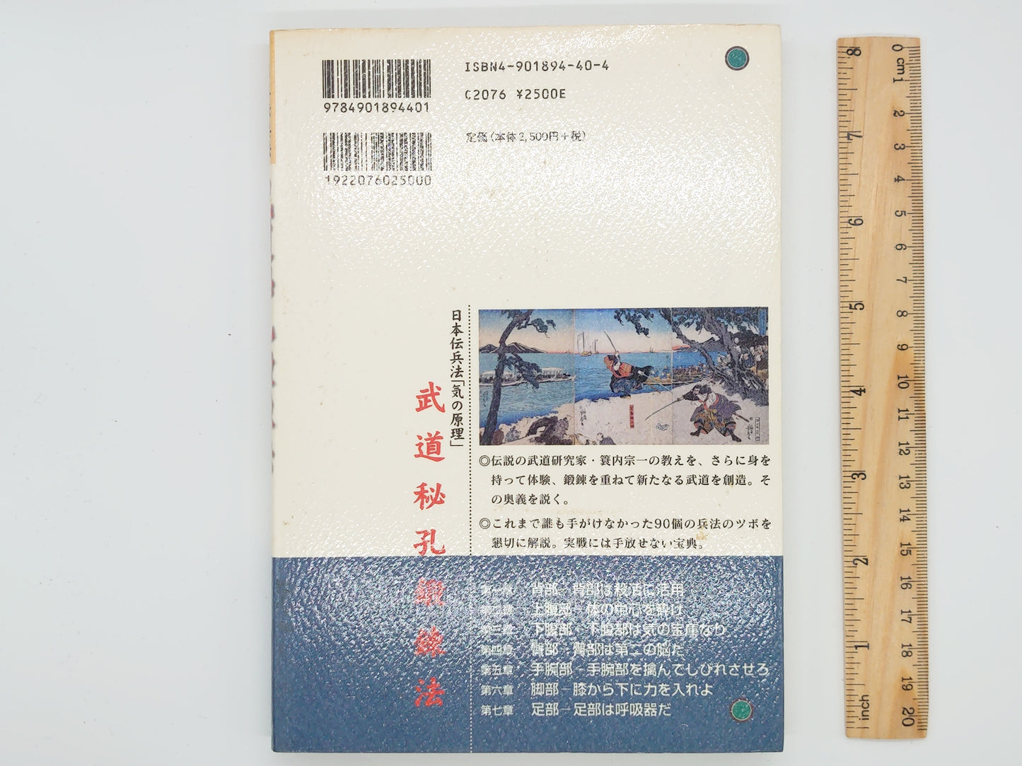 201 日本伝兵法「気の原理」武道秘孔鍛錬法 / 森庸年 / 砂書房