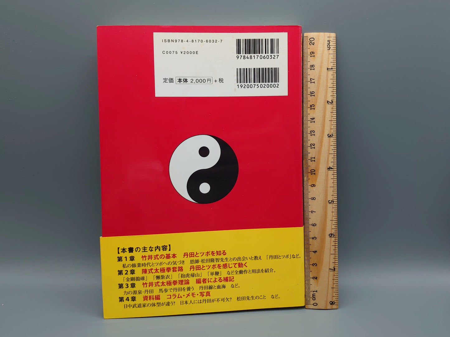 202 丹田とツボで創る 竹井式陳氏太極拳の学び方/竹井正己/日貿出版社