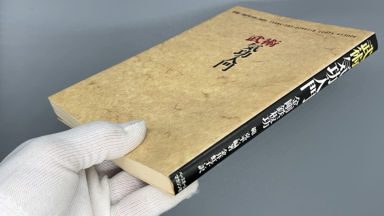201 武術気功入門 金剛鉄板功 / 範克平 / べースボール・マガジン社