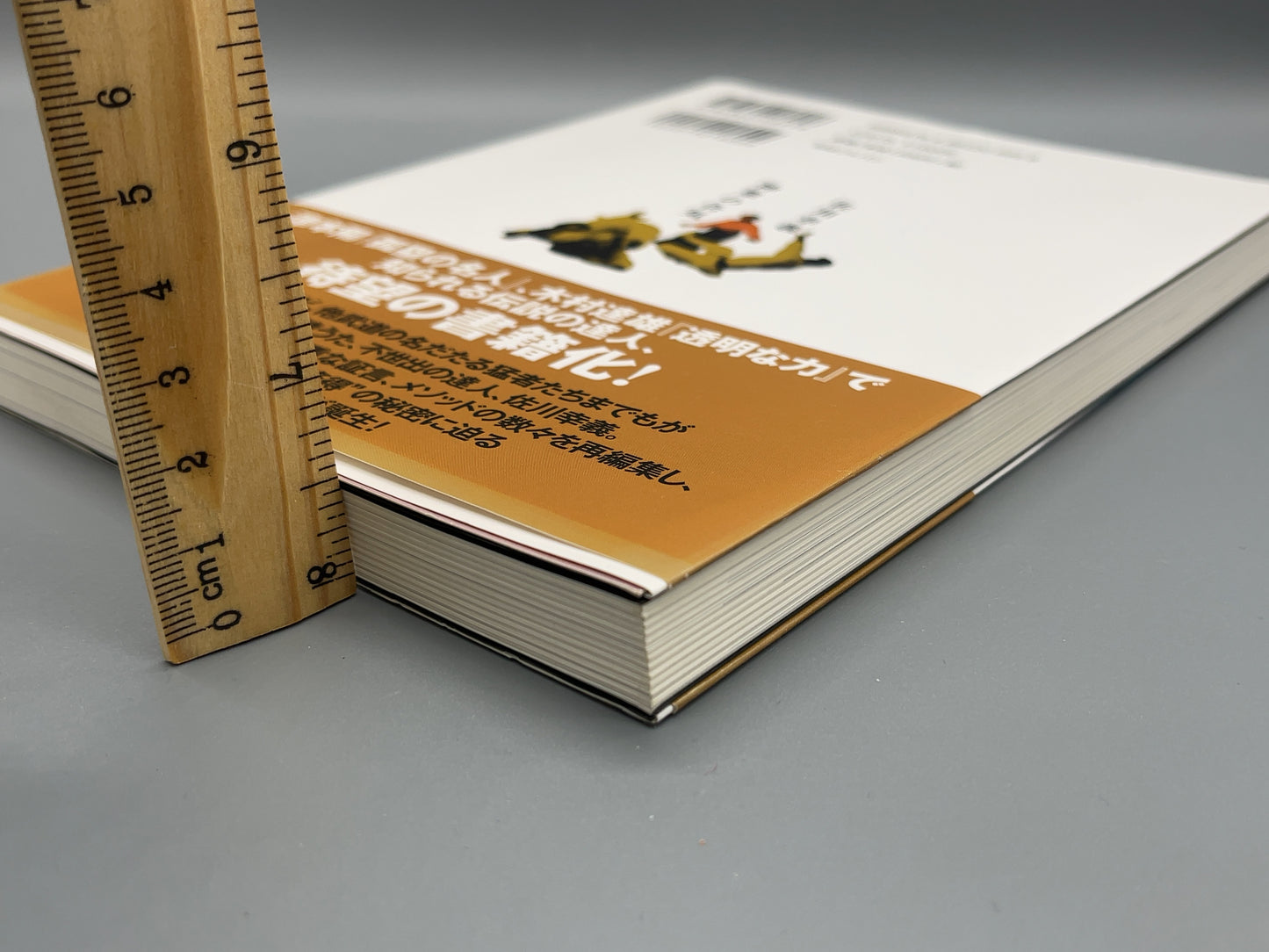 202 佐川幸義 神業の合気 / 「月刊秘伝 」編集部 編/ BABジャパン