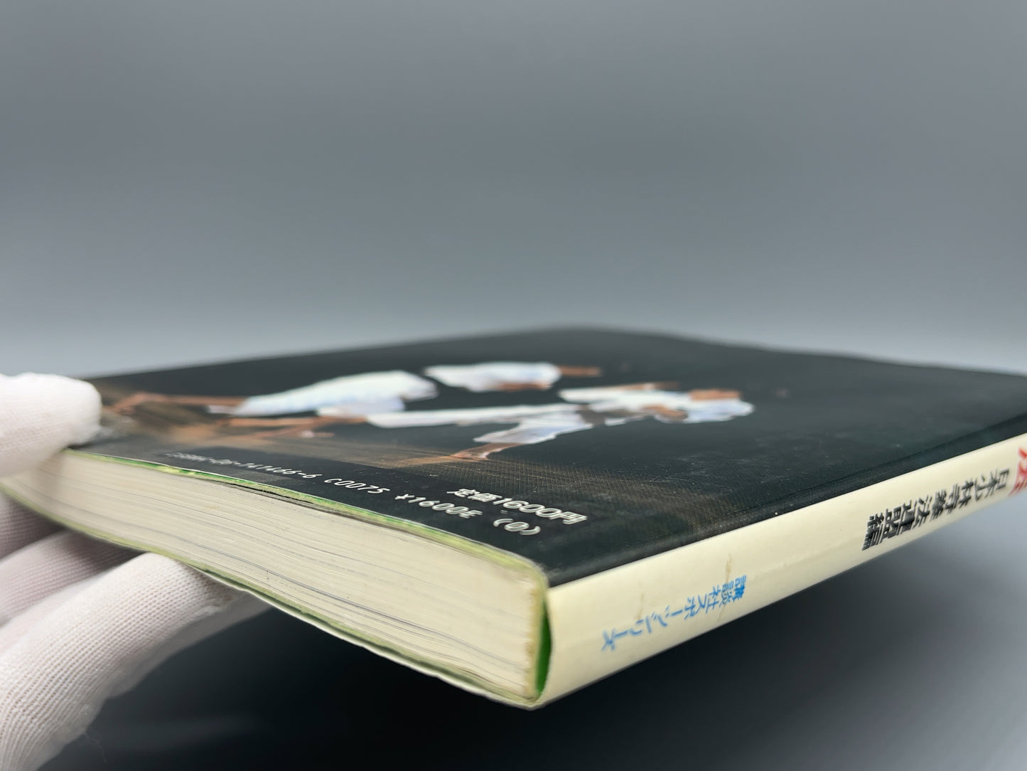 202 少林寺拳法 / 日本少林寺拳法連盟 編 / 講談社