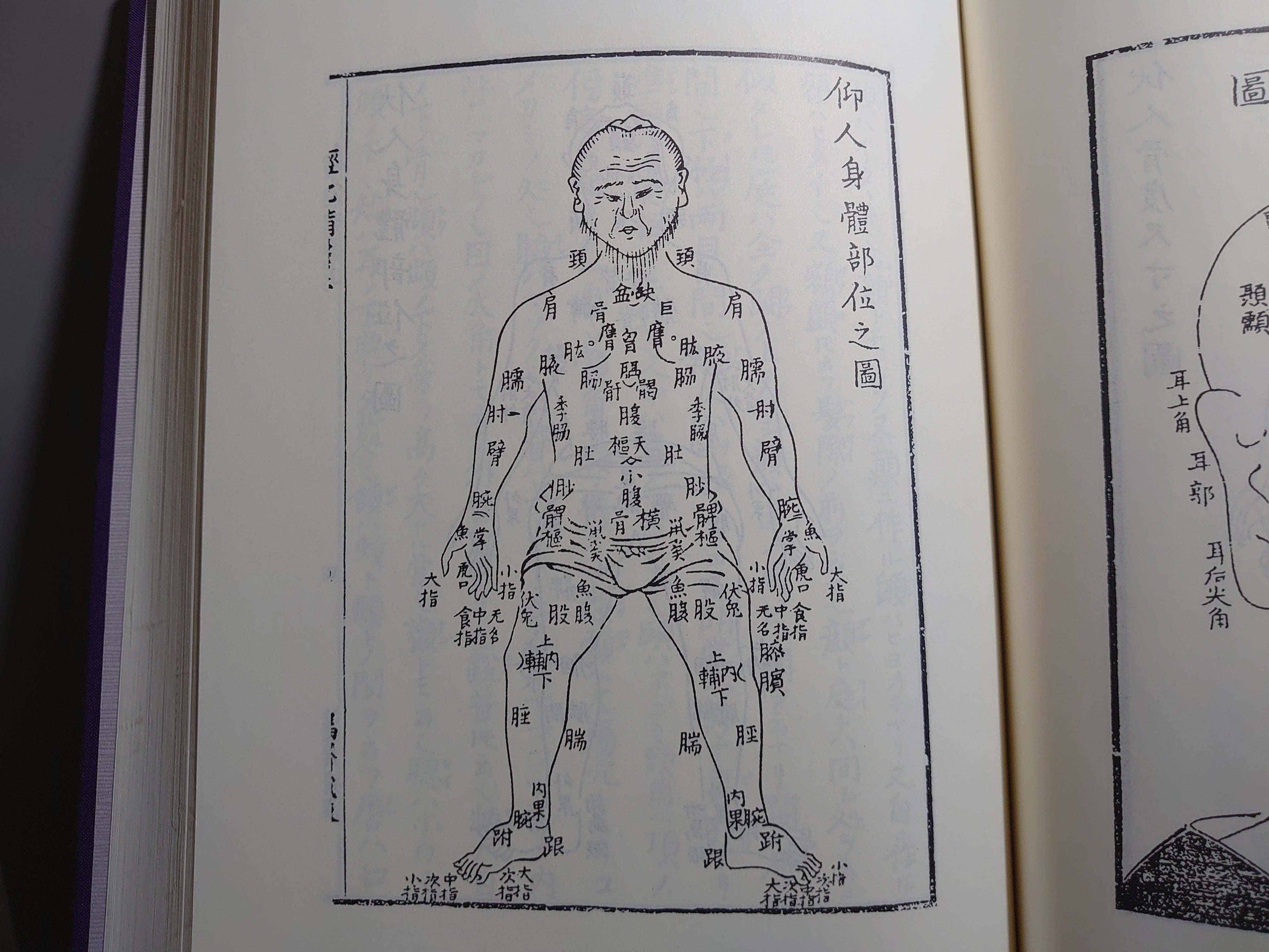401 臨床鍼灸古典全書 第1期~第5期/第7期~第10期 計57冊セット – 日本