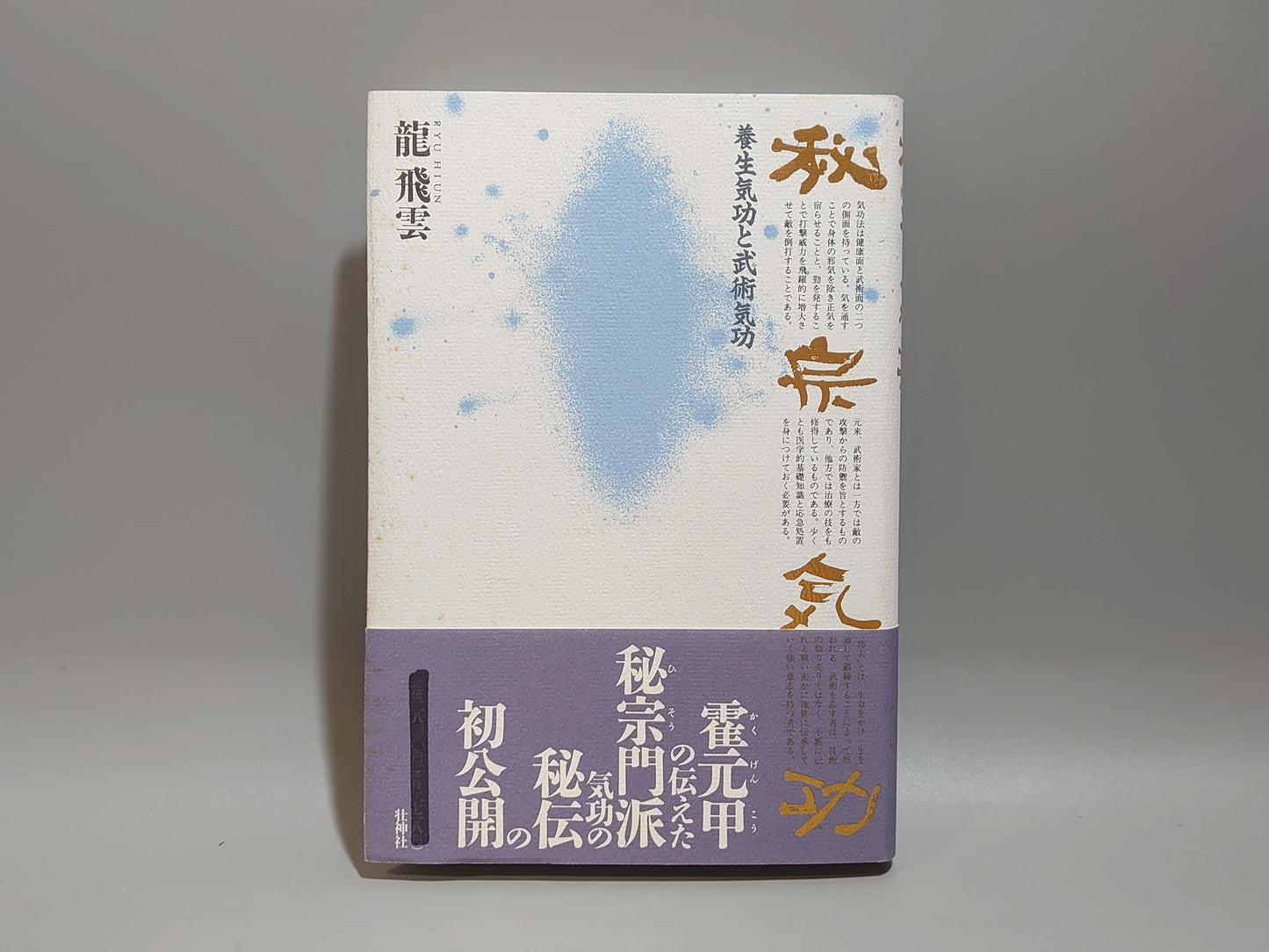221 秘宗気功 養生気功と武術気功