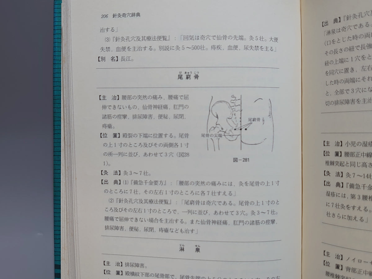針灸奇穴辞典/木田洋・平井栄三郎・横山瑞生 共訳 朴金凱 編/風林書房