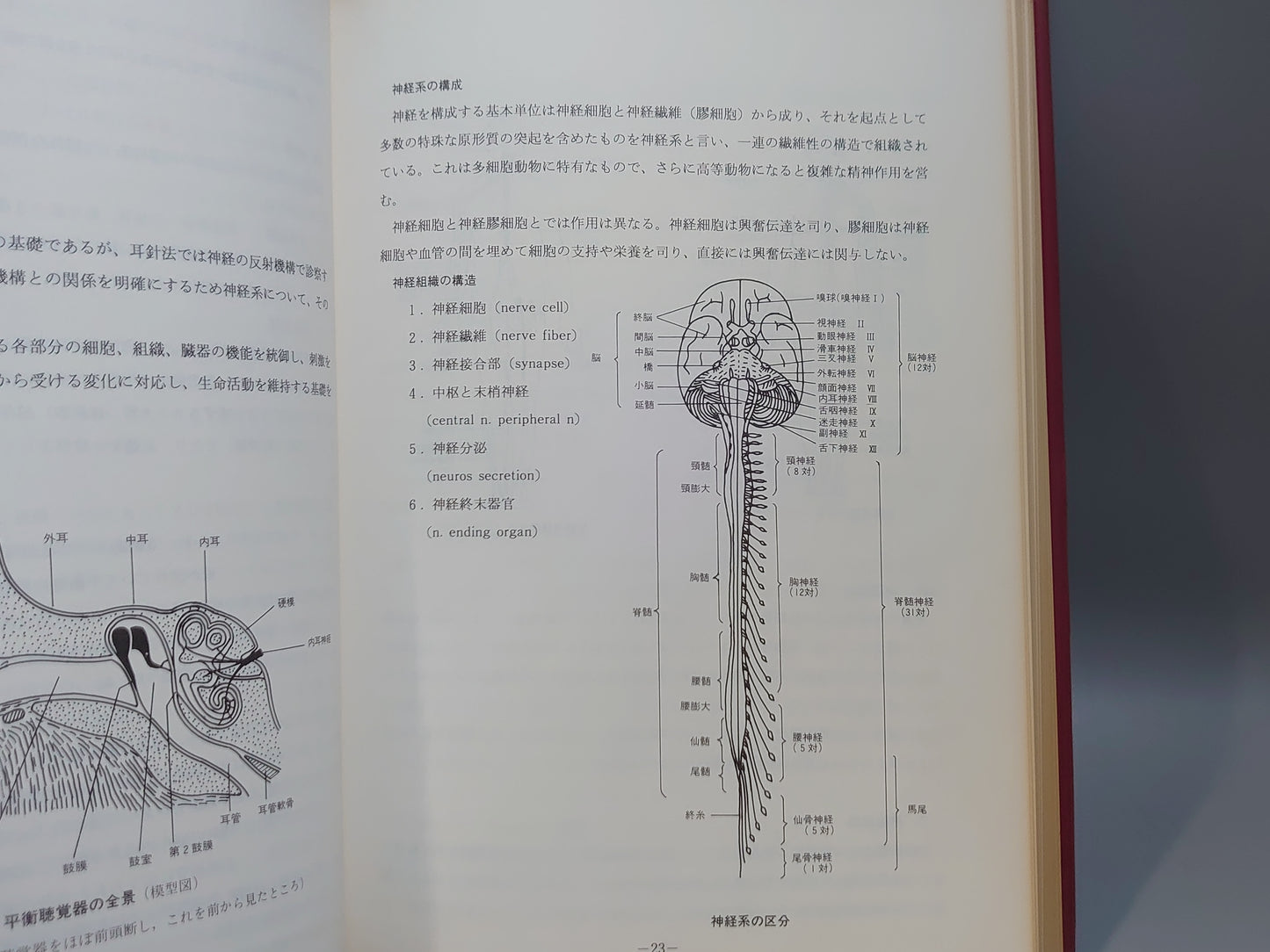 221 耳針法の臨床