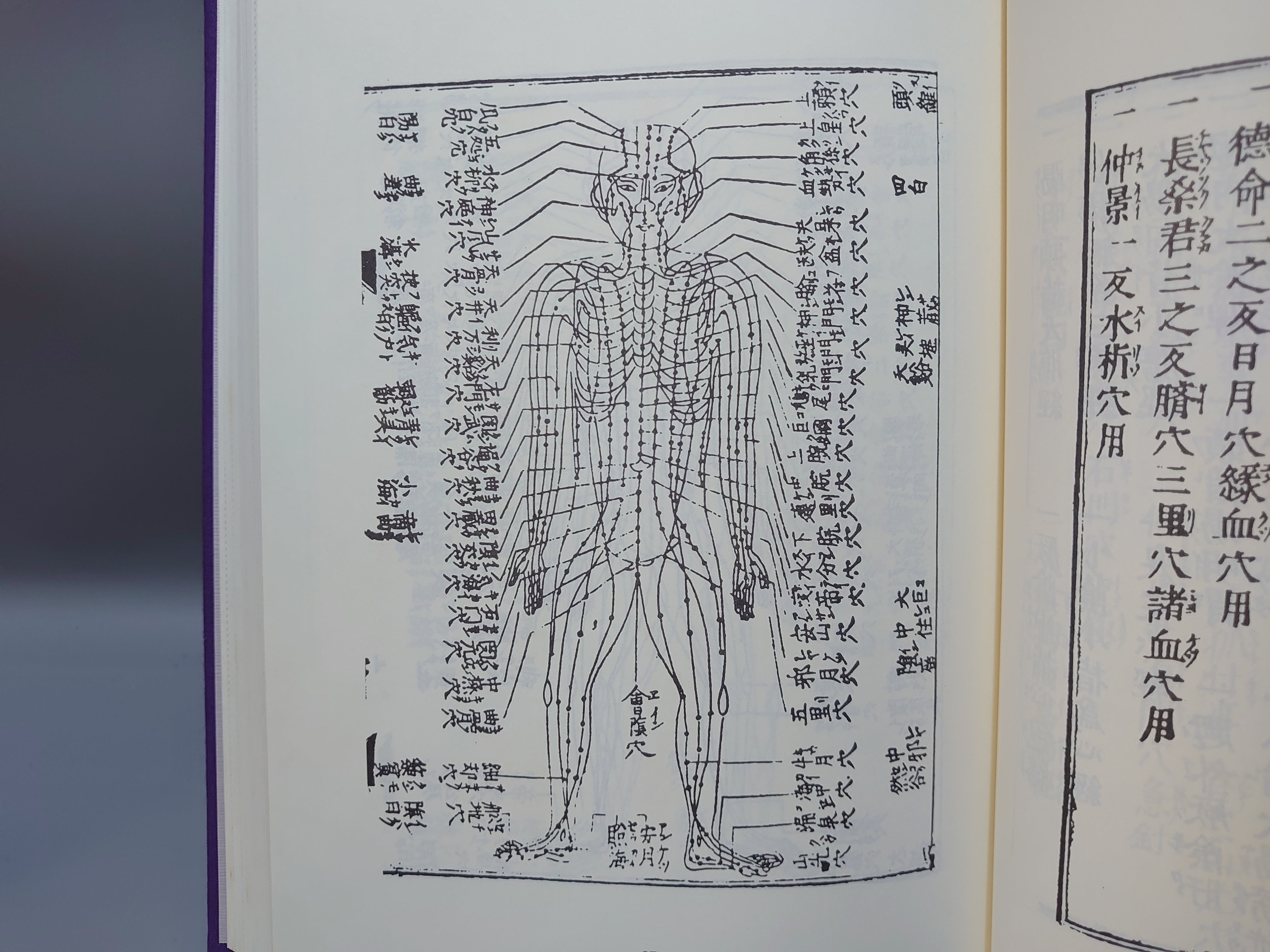 401 臨床鍼灸古典全書 第1期~第5期/第7期~第10期 計57冊セット – 日本