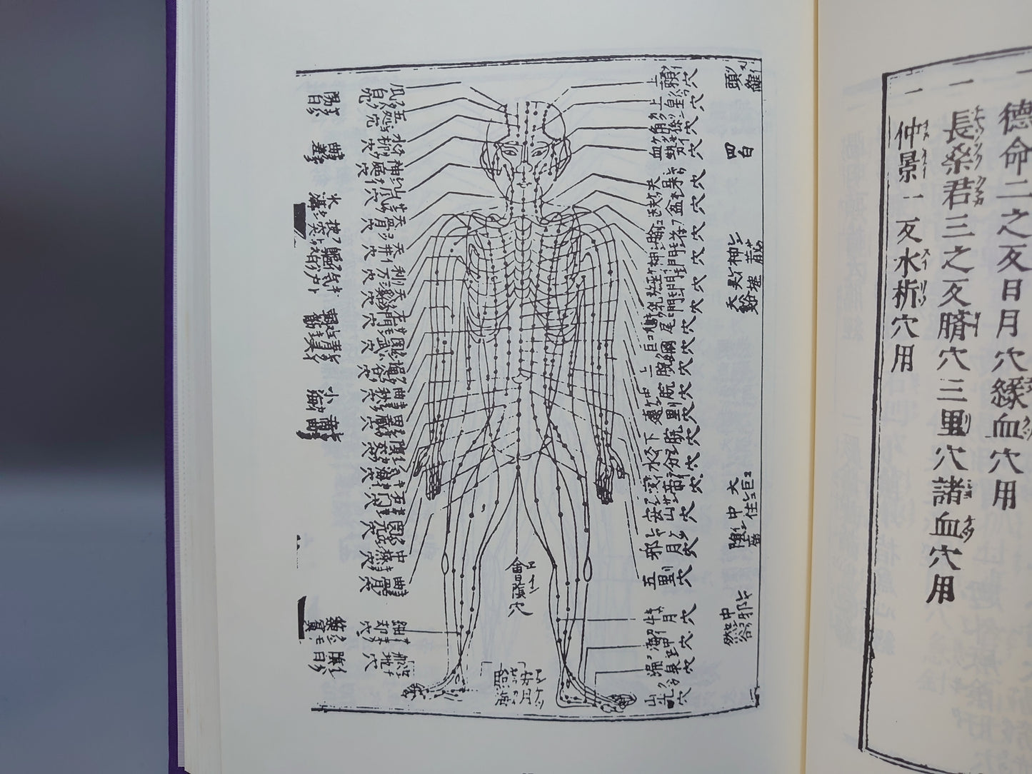 401 臨床鍼灸古典全書 第1期~第5期/第7期~第10期 計57冊セット