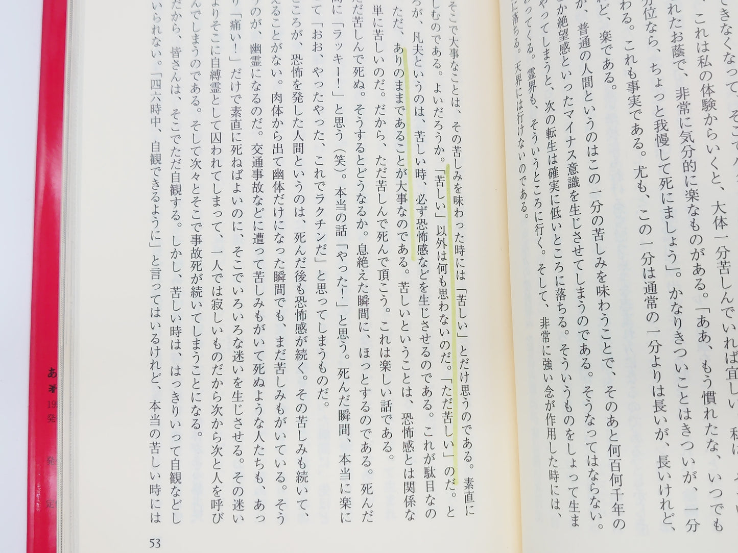 215 あなたの死後はこうなる/山口修源/星雲社