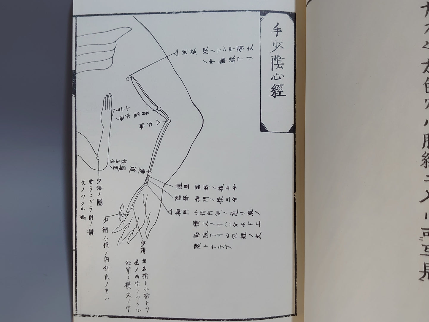 221 経絡発明 全