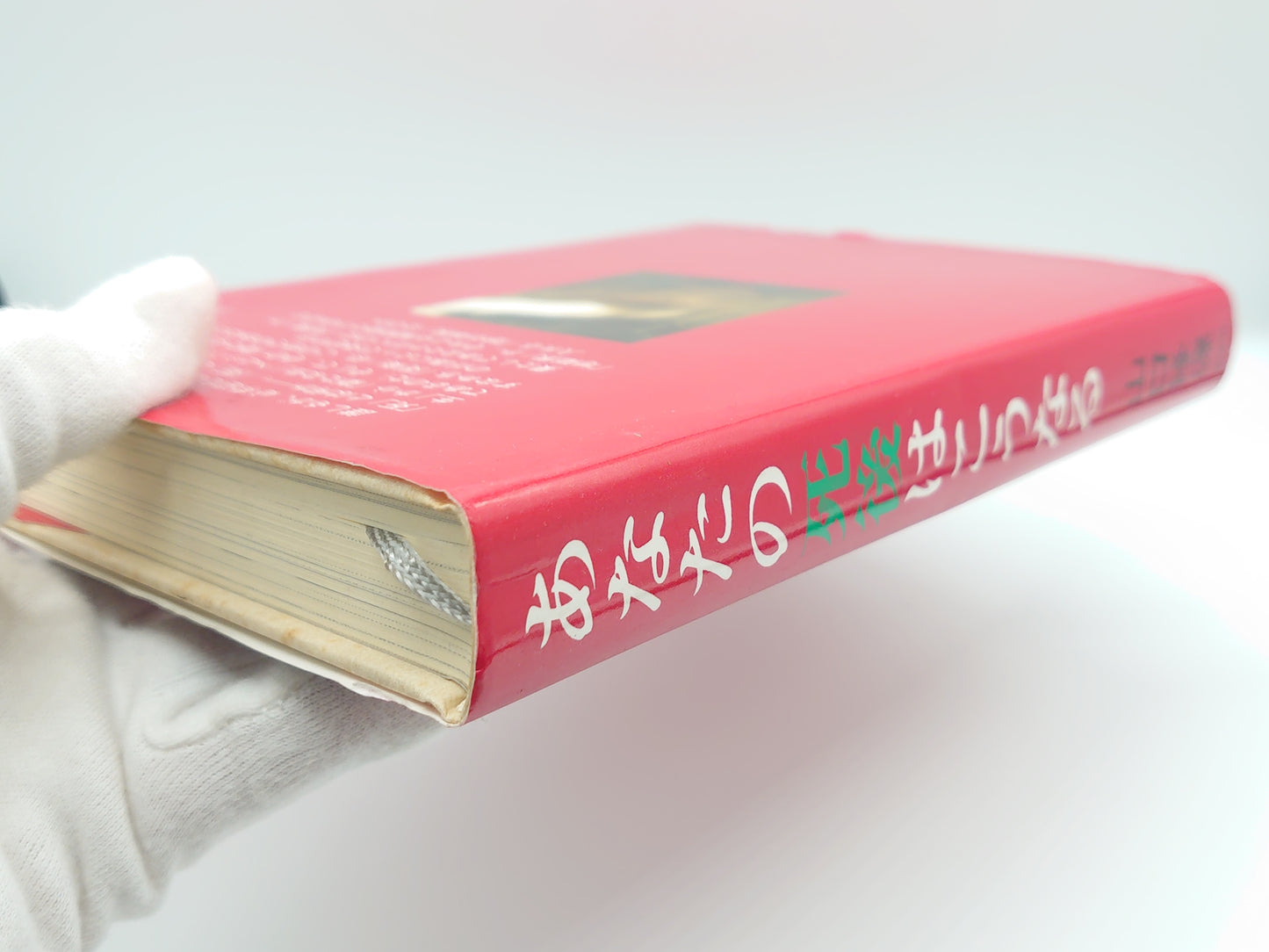 215 あなたの死後はこうなる/山口修源/星雲社