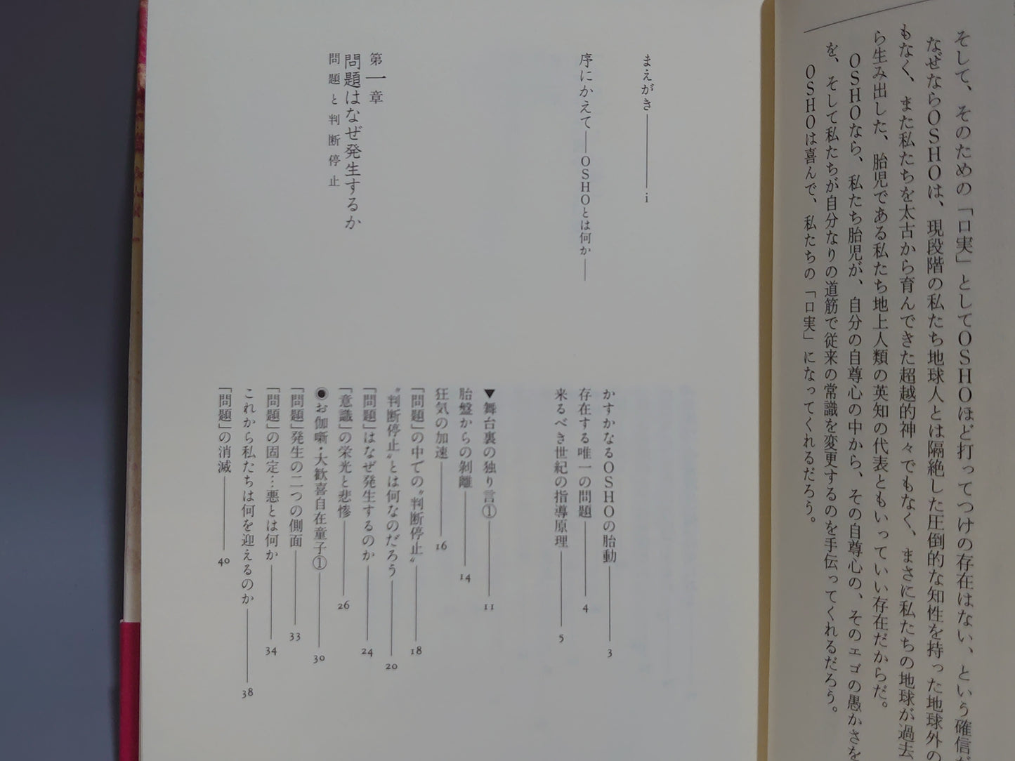 214 21世紀への指導原理 OSHO