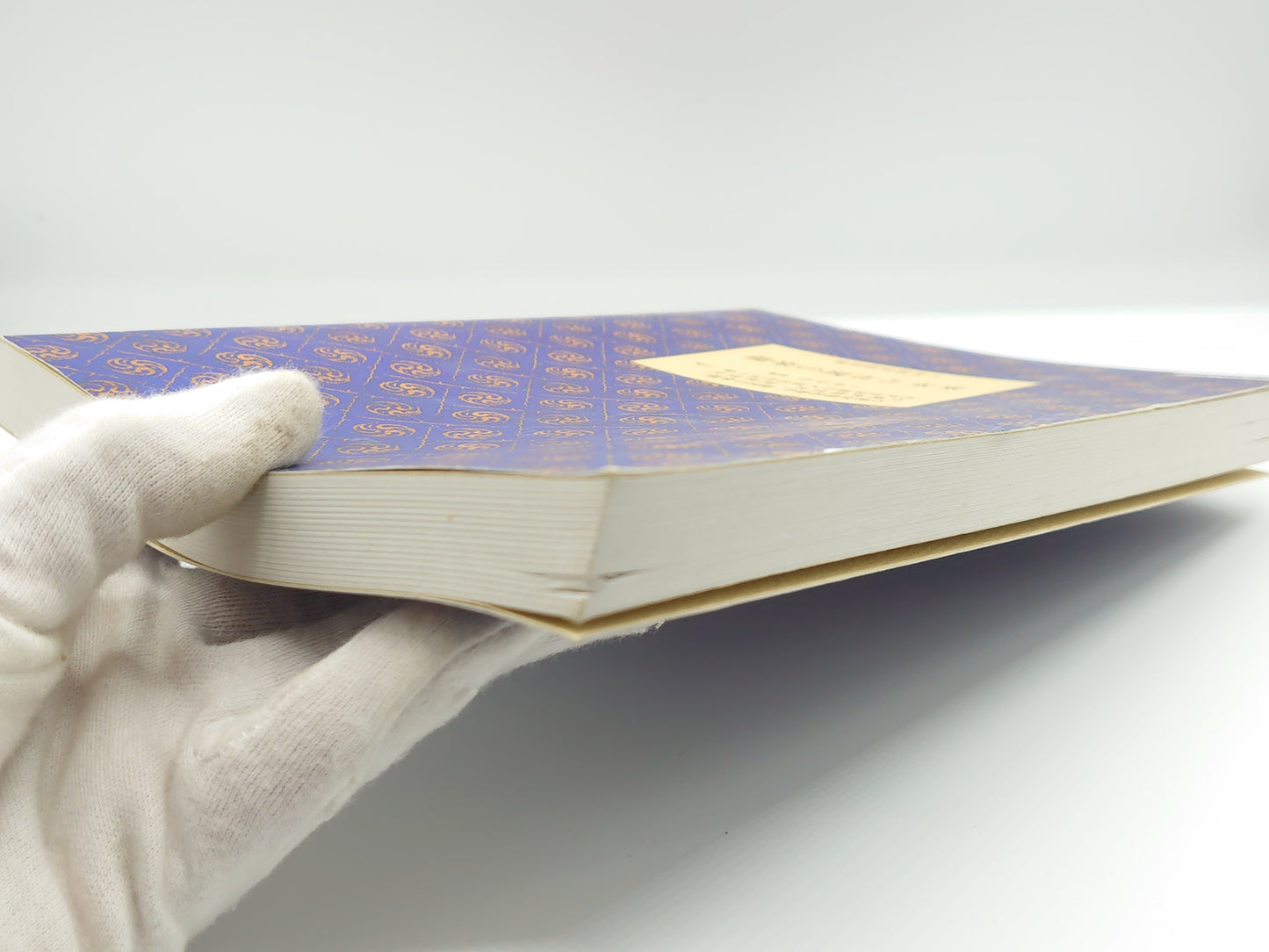 225 能楽の現在と未来 ＜能楽研究叢書 5＞ 山中玲子編