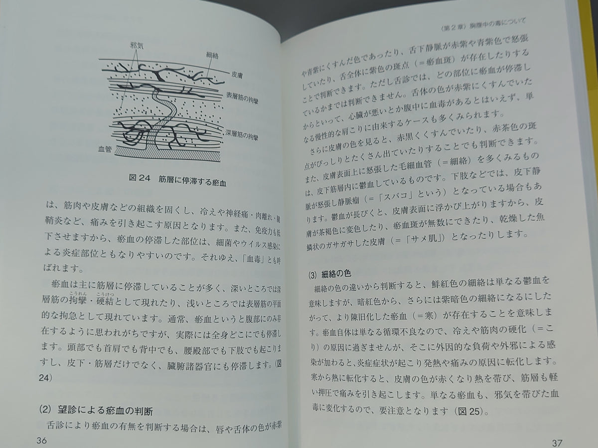 腹診による「毒」と「邪気」の診察と鍼灸治療/大浦慈観/ヒューマンワールド