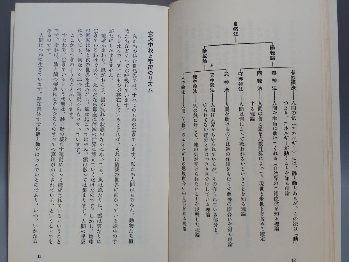 中国占星術 算命学 天中殺（中殺編）/八木橋信忠/かんき出版