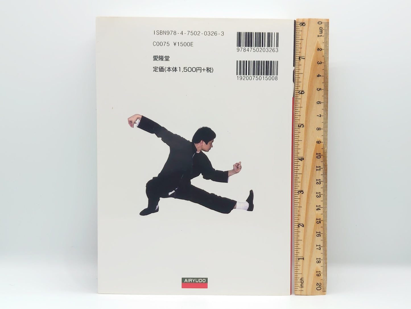 201 楊式太極拳のしくみ 伝統太極拳/陳 孺性/愛隆堂