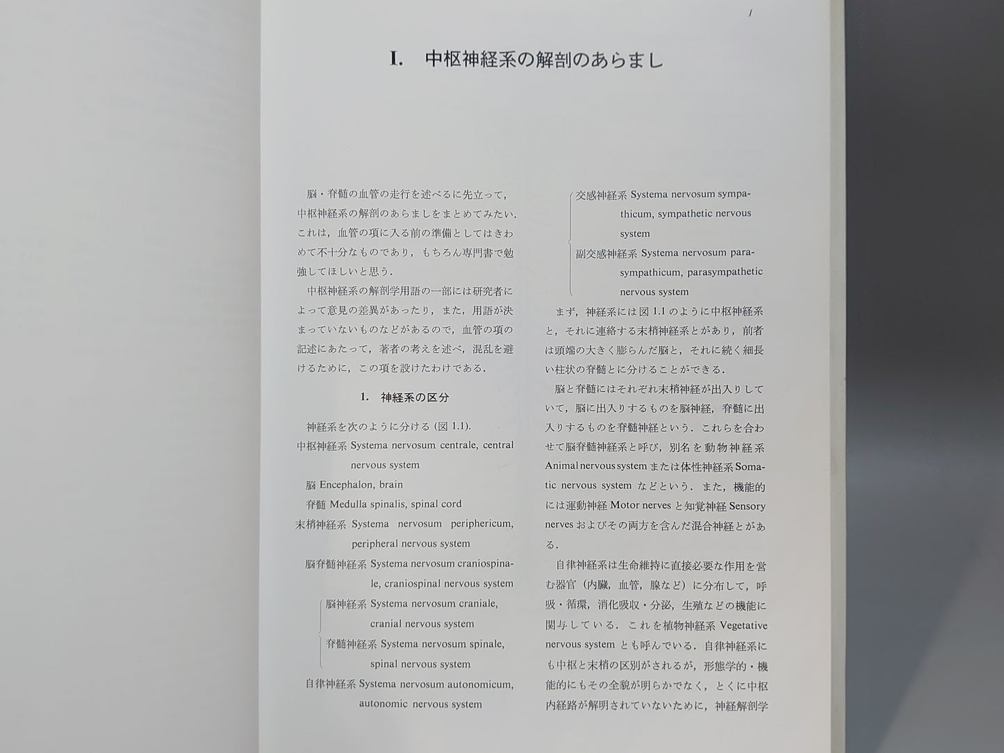 221 脳血管の解剖 血管障害の理解のために
