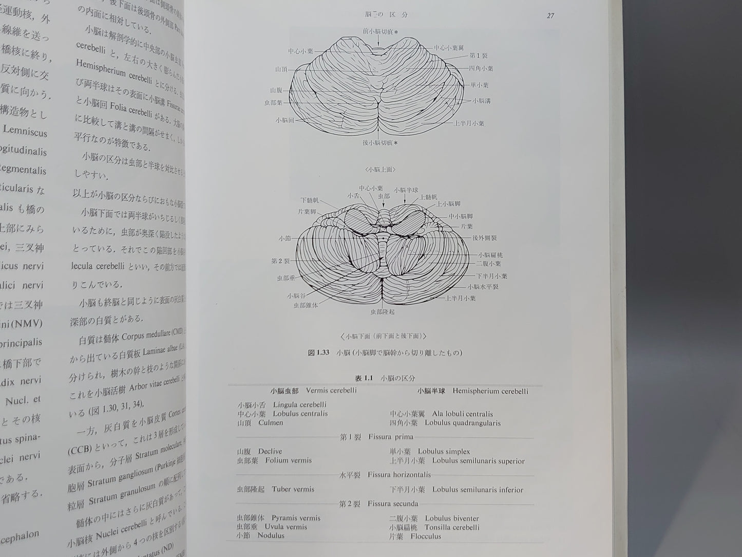 221 脳血管の解剖 血管障害の理解のために