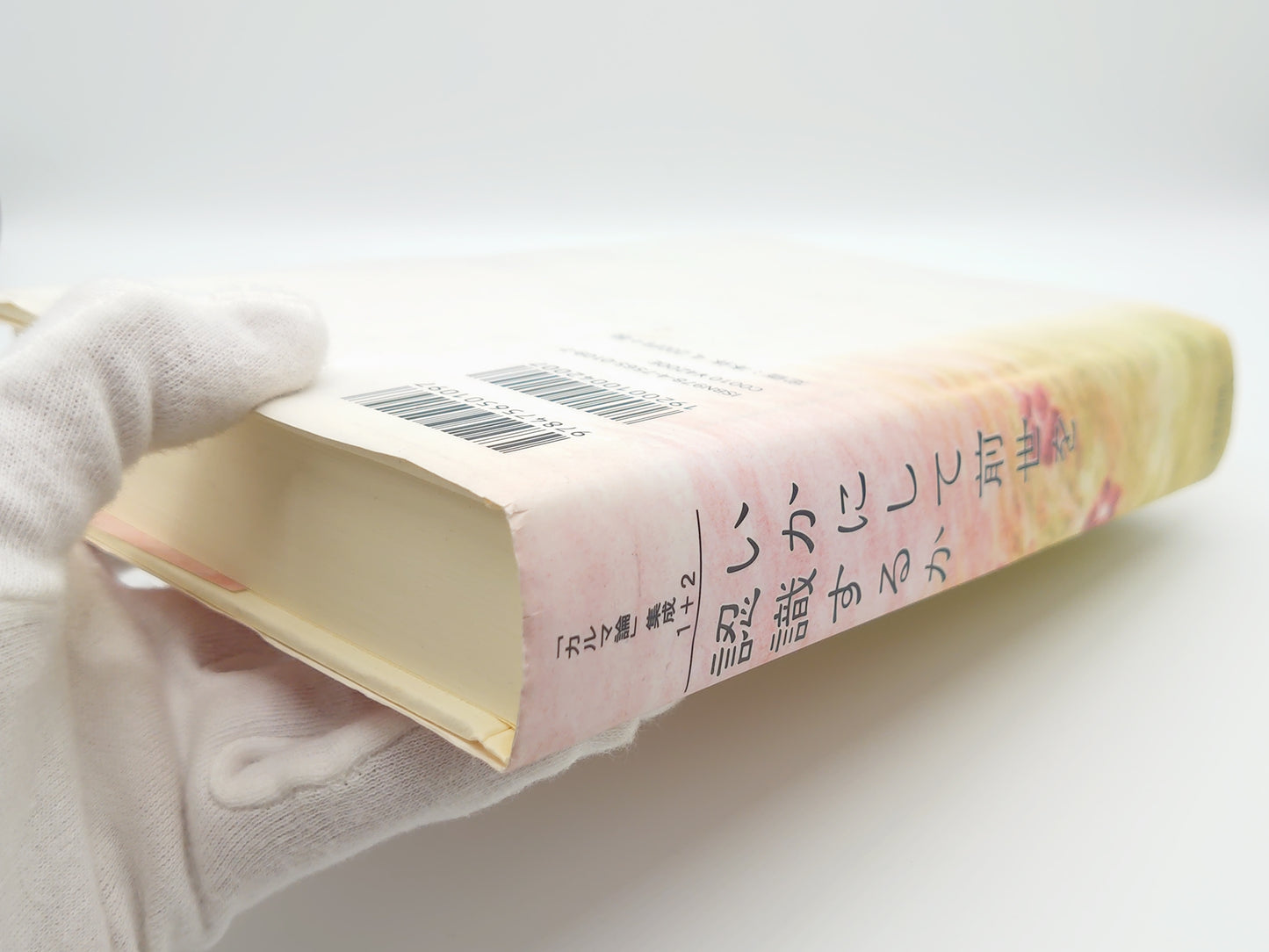 215 いかにして前世を認識するか/ルドルフ・シュタイナー/イザラ書房