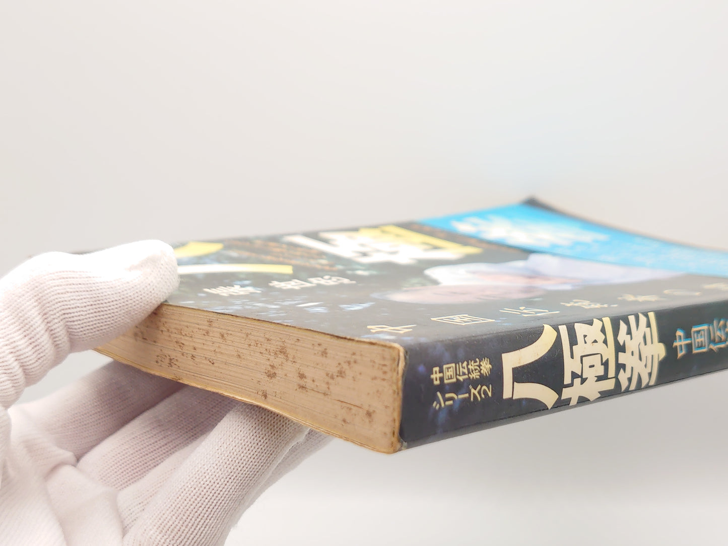 201 八極拳 (中国伝統拳シリーズ 2)/張世忠/福昌堂