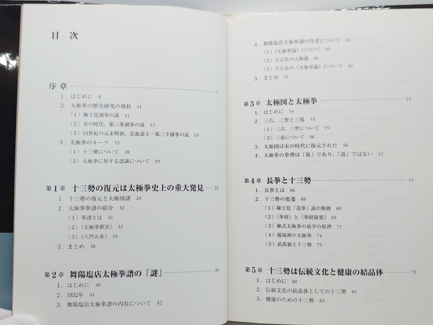 201 太極拳の源流を求めて  十三勢套路の発見/陳 崢/二玄社
