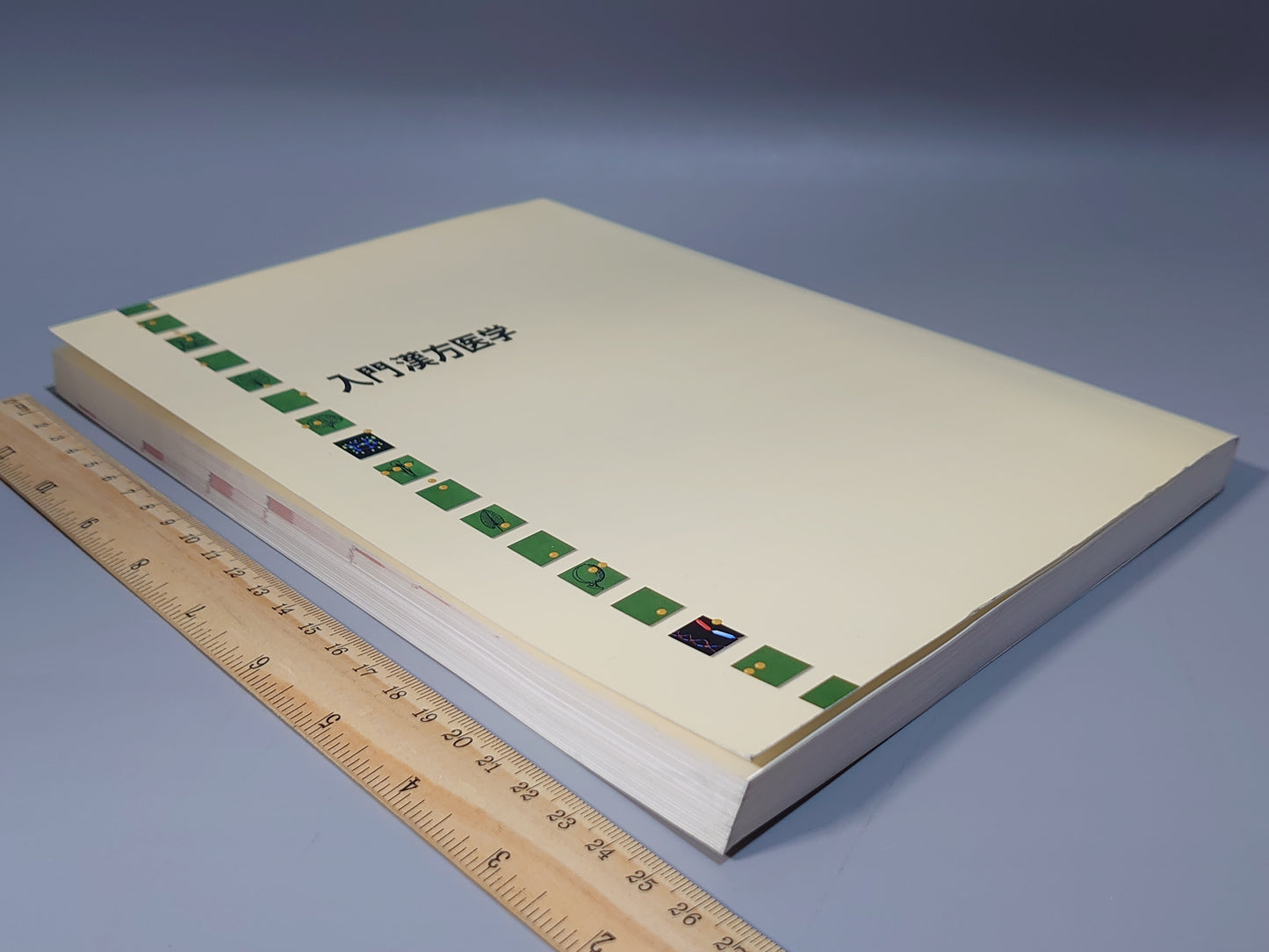 224 入門 漢方医学