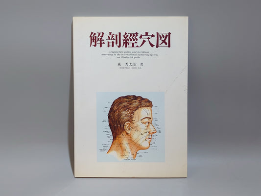 221 解剖経穴図
