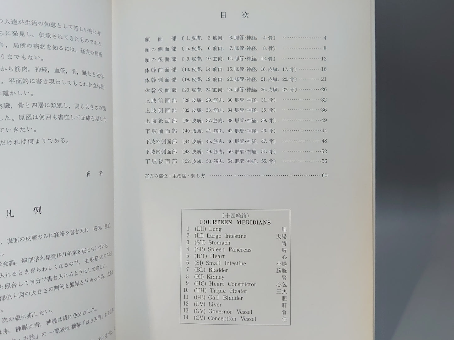 221 解剖経穴図