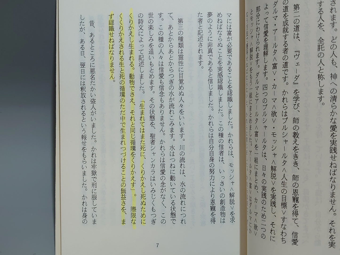 213 至福のサイ