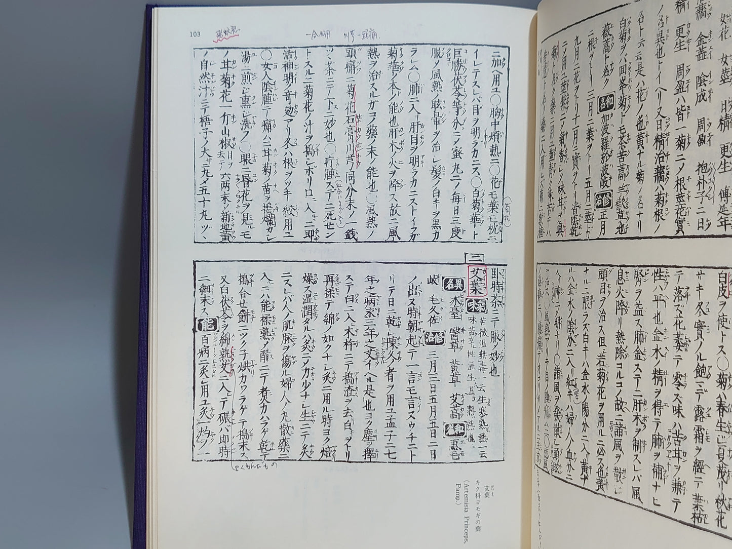 221 薬性能毒