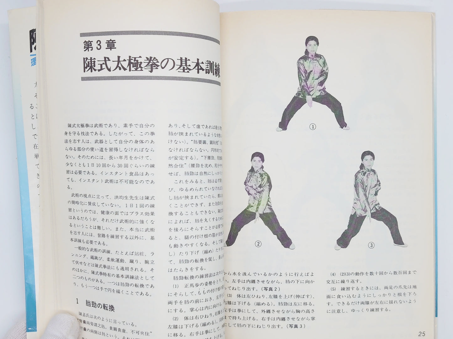 201 陳氏太極拳 理論と実技 / 余鳳翔 / ベースボールマガジン社