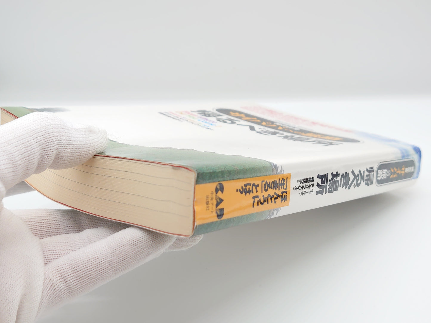 225 帰るべき場所 -神の化身サイババへの旅路-/チャールズ・P・ディフィジオ/中央アート出版社