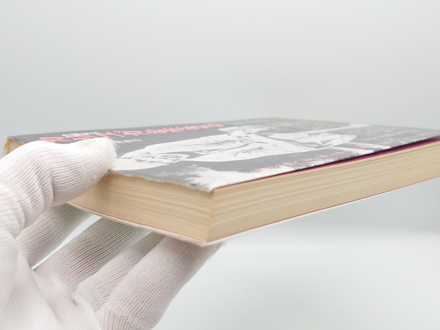 215 カリユガを生きる/ヘマドパンド/サティアサイオーガニゼーション